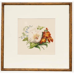 Sophia Katherine Charleton (1789-1844) - Aquarell, Hibiskus mit Mauerblümchen
