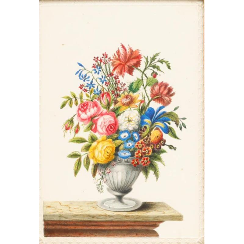 Sophia Katherine Charleton (1789-1844) - Acquerello, Una fioritura estiva - Art di Unknown