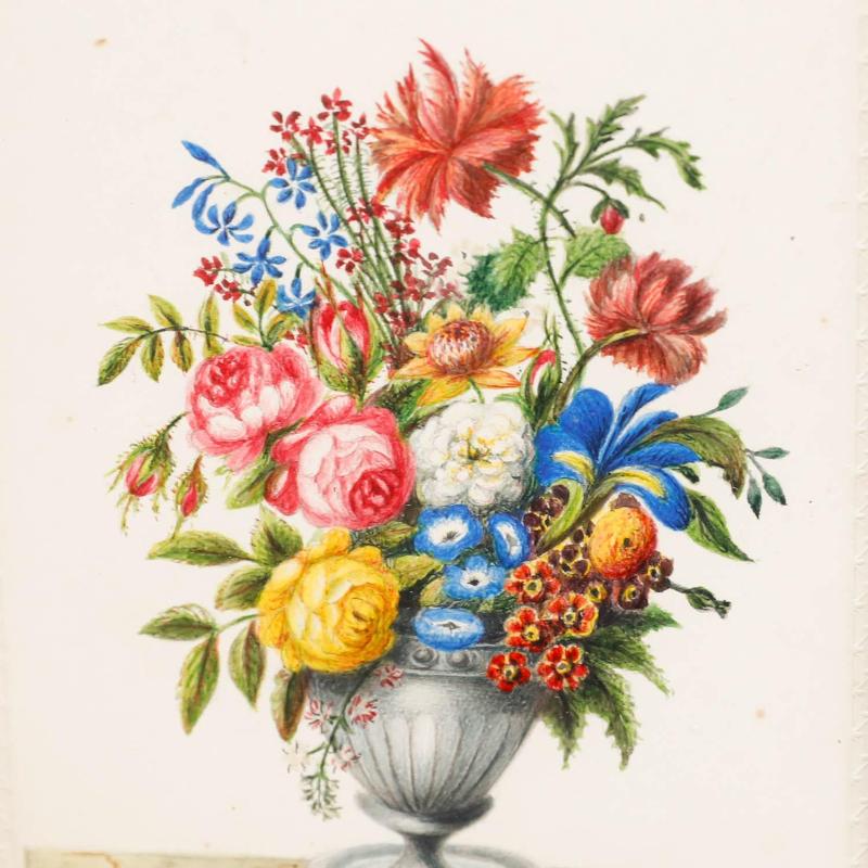 Un dettagliato studio botanico dell'inizio del XIX secolo dell'artista Sophia Katherine Charleton (1789-1844) che raffigura un'abbondante fioritura estiva. I bordi dell'opera d'arte sono stati delicatamente impressi con un motivo decorativo e