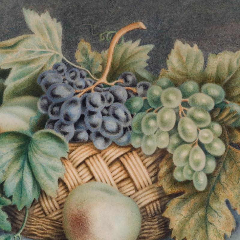Uno studio ad acquerello di William Hough, artista britannico molto quotato. Dipinto nei minimi dettagli, l'artista utilizza il suo stile caratteristico per creare una realistica natura morta di uva e pesche in un cesto di paglia. Firmato in basso a