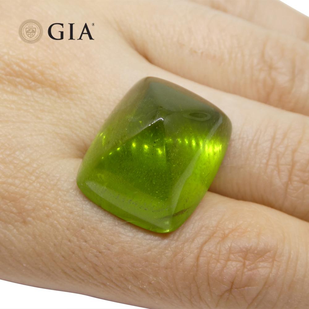 47.7 Karat Cushion Zuckerhut Cabochon Gelbgrüner Peridot GIA zertifiziert 5