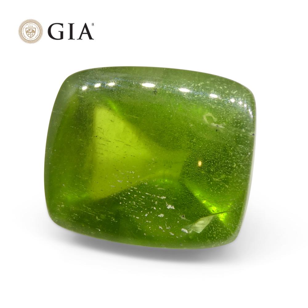 47.7 Karat Cushion Zuckerhut Cabochon Gelbgrüner Peridot GIA zertifiziert 8