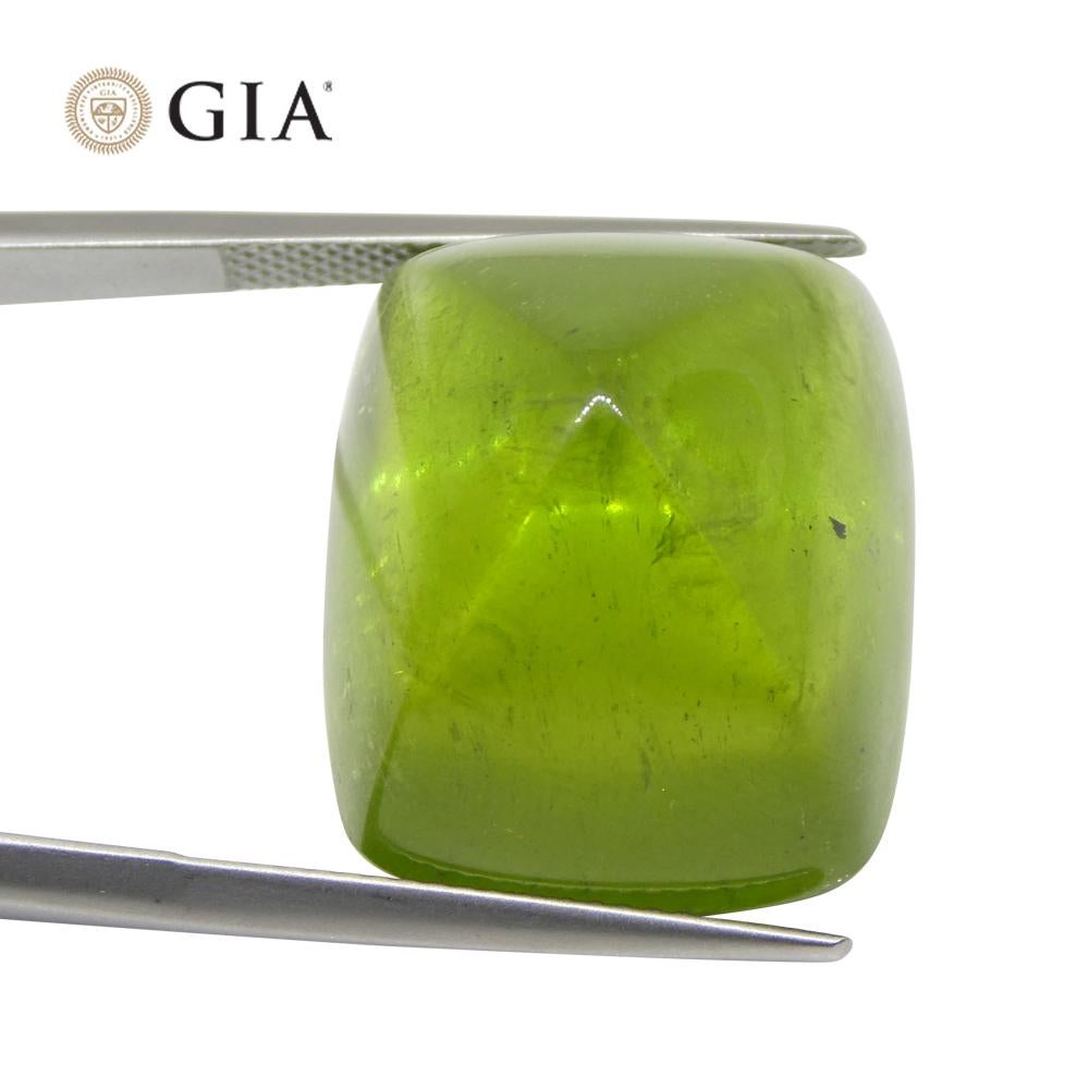 47.7 Karat Cushion Zuckerhut Cabochon Gelbgrüner Peridot GIA zertifiziert (Kissenschliff)