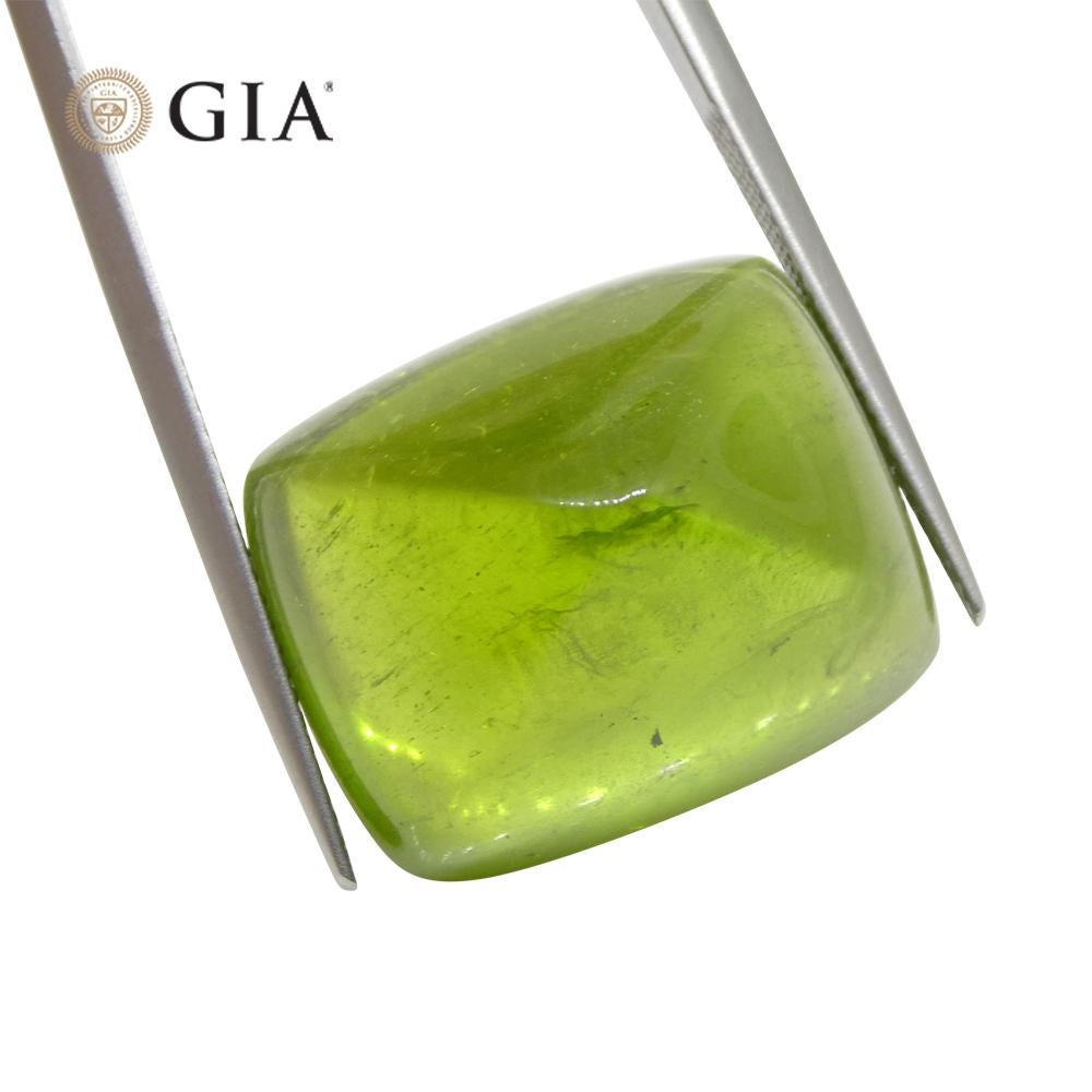 47.7 Karat Cushion Zuckerhut Cabochon Gelbgrüner Peridot GIA zertifiziert 1