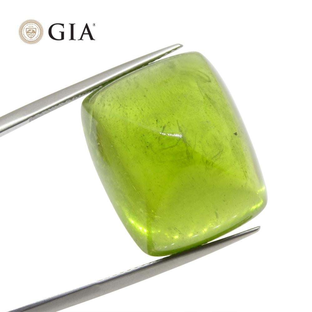47.7 Karat Cushion Zuckerhut Cabochon Gelbgrüner Peridot GIA zertifiziert 2