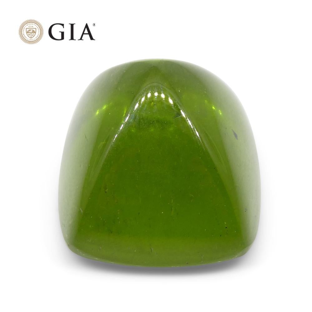 47.7 Karat Cushion Zuckerhut Cabochon Gelbgrüner Peridot GIA zertifiziert 3