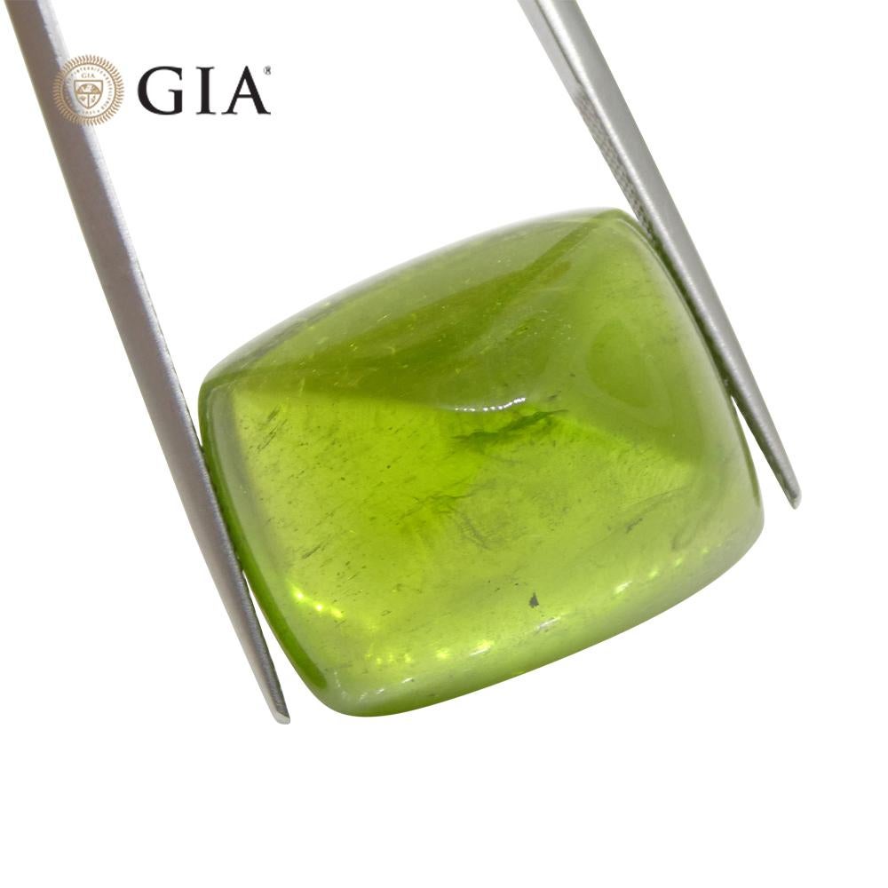 47.7ct Cushion Sugarloaf Cabochon Yellowish Green Peridot GIA Certified For Sale 3