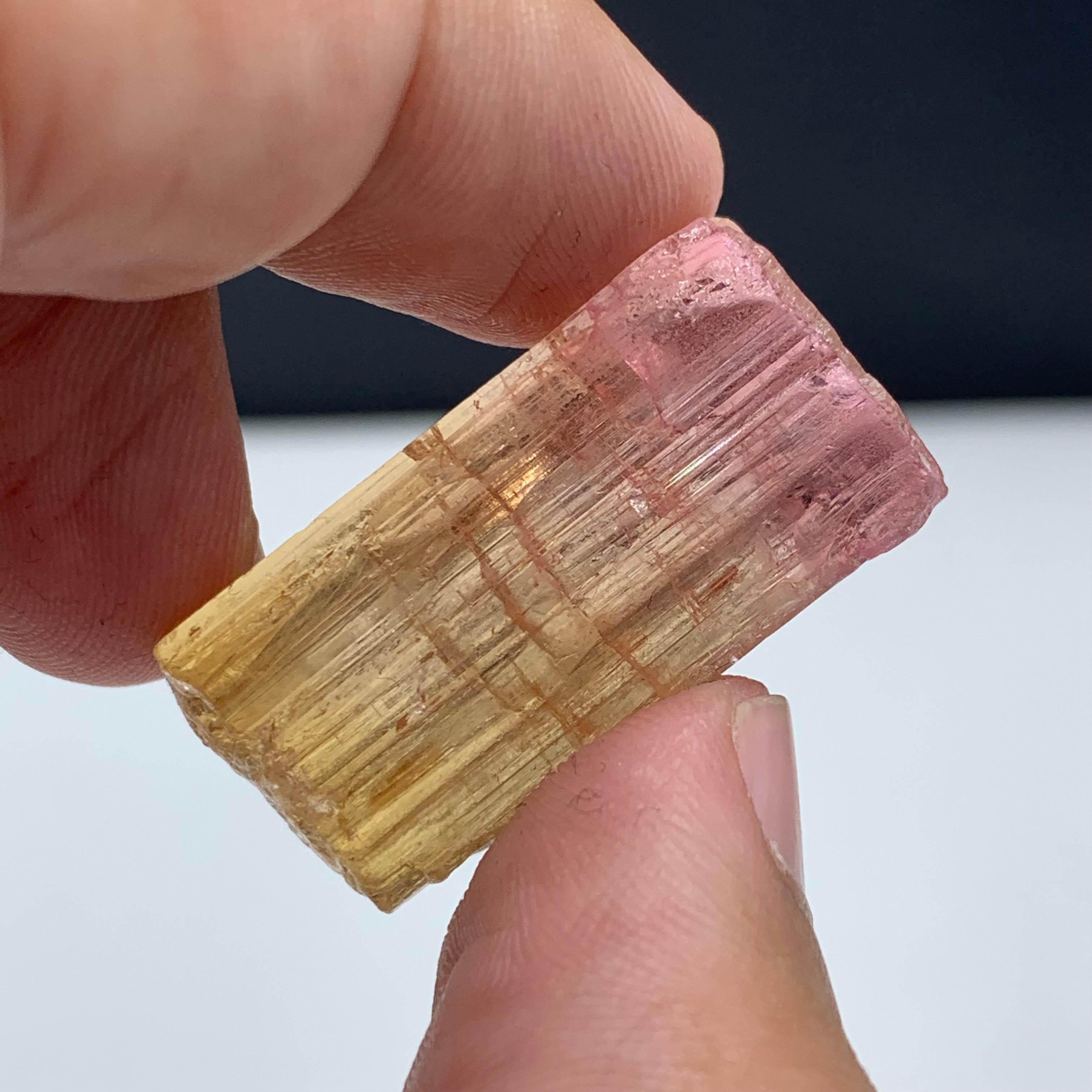 48 Carat Amazing Bi Color Tourmaline Crystal From Paprook Mine, Afghanistan For Sale 3