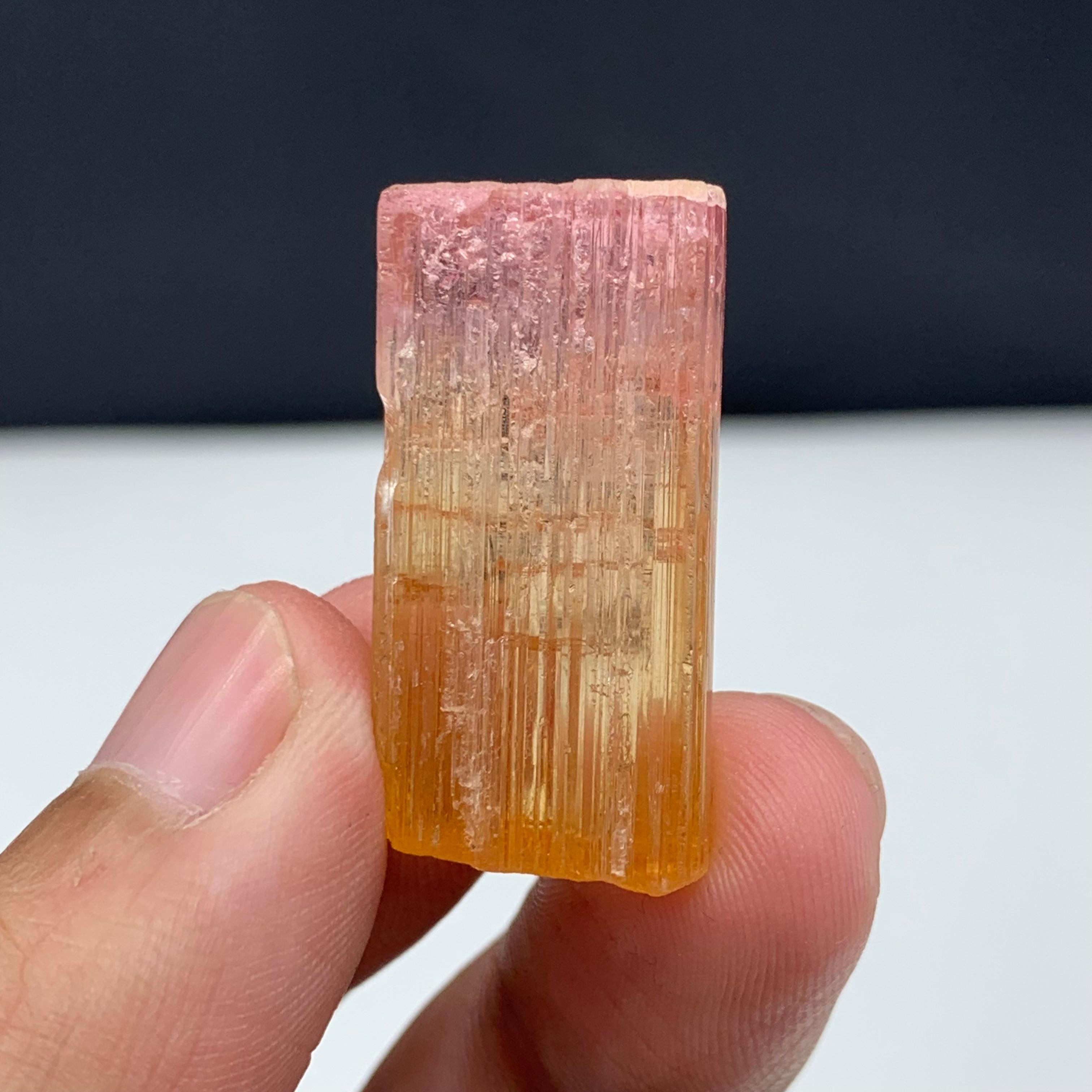 48 Carat Amazing Bi Color Tourmaline Crystal From Paprook Mine, Afghanistan For Sale 4
