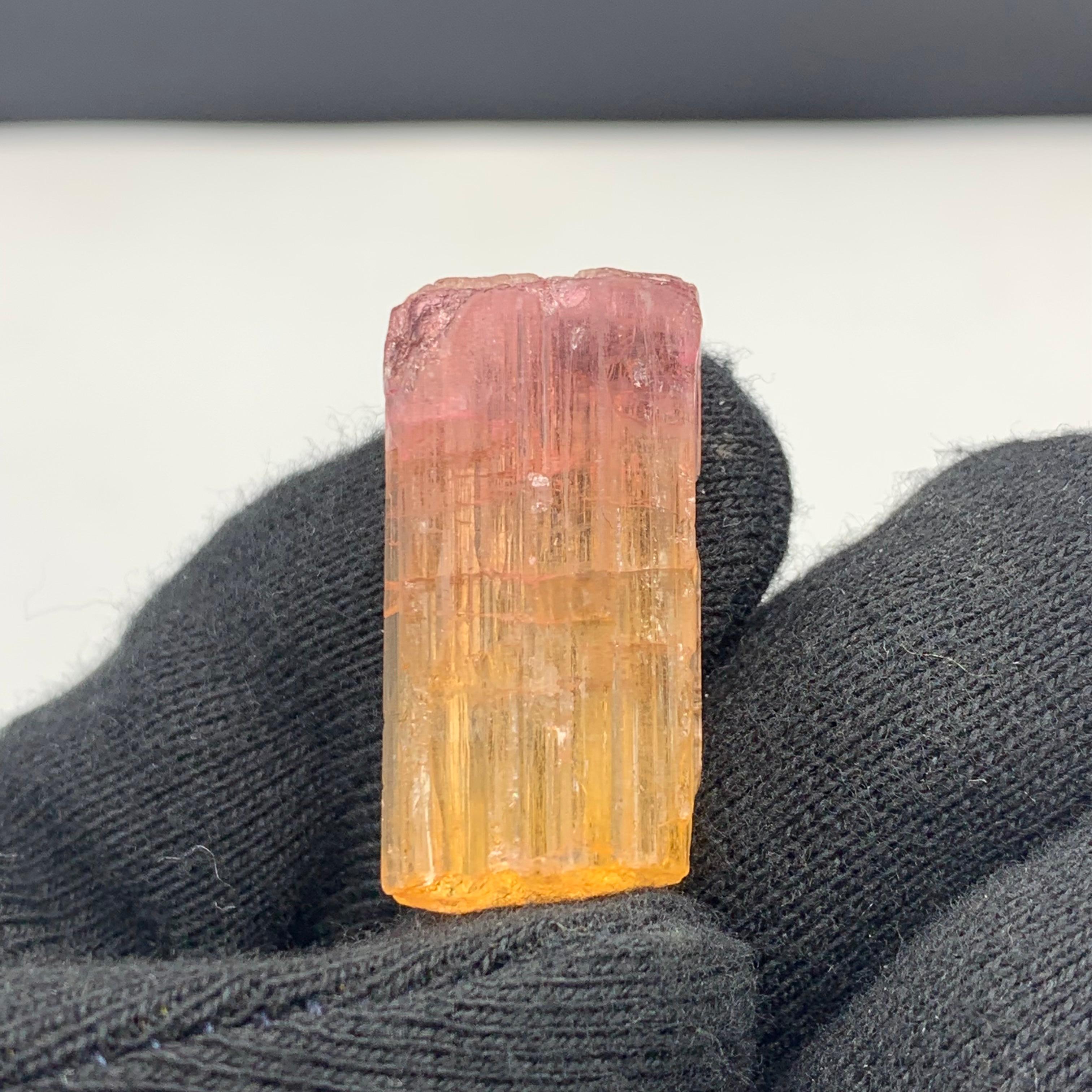 48 Carat Amazing Bi Color Tourmaline Crystal From Paprook Mine, Afghanistan For Sale 5