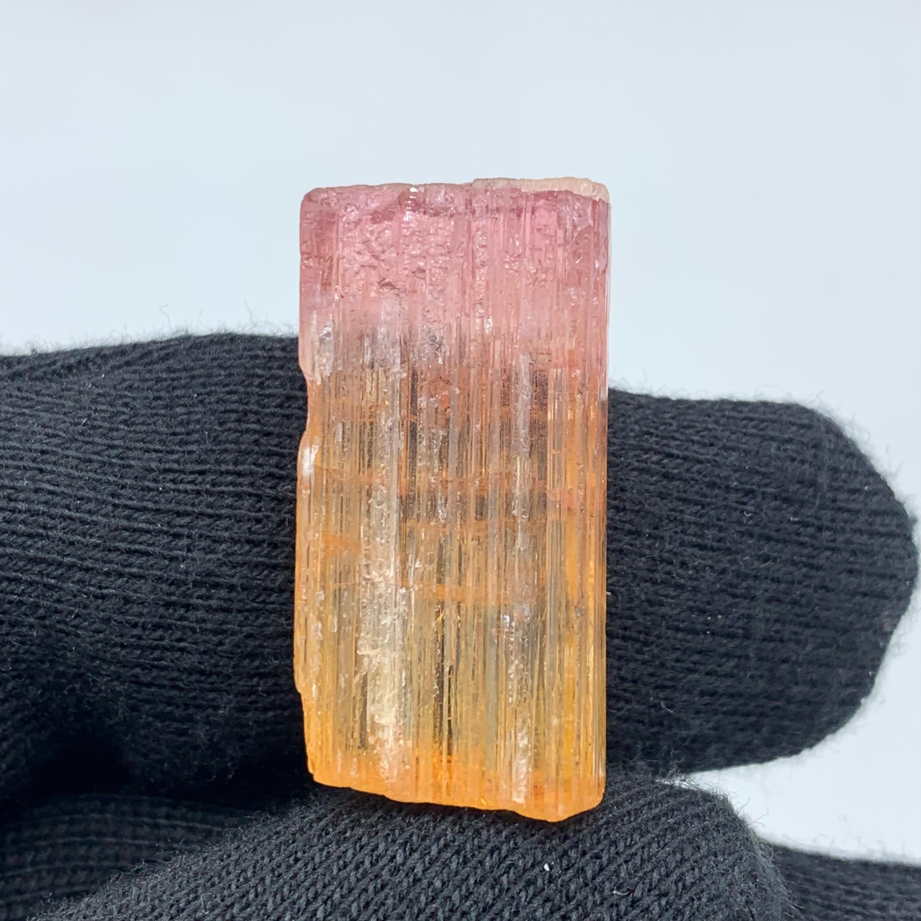 48 Carat Amazing Bi Color Tourmaline Crystal From Paprook Mine, Afghanistan For Sale 6