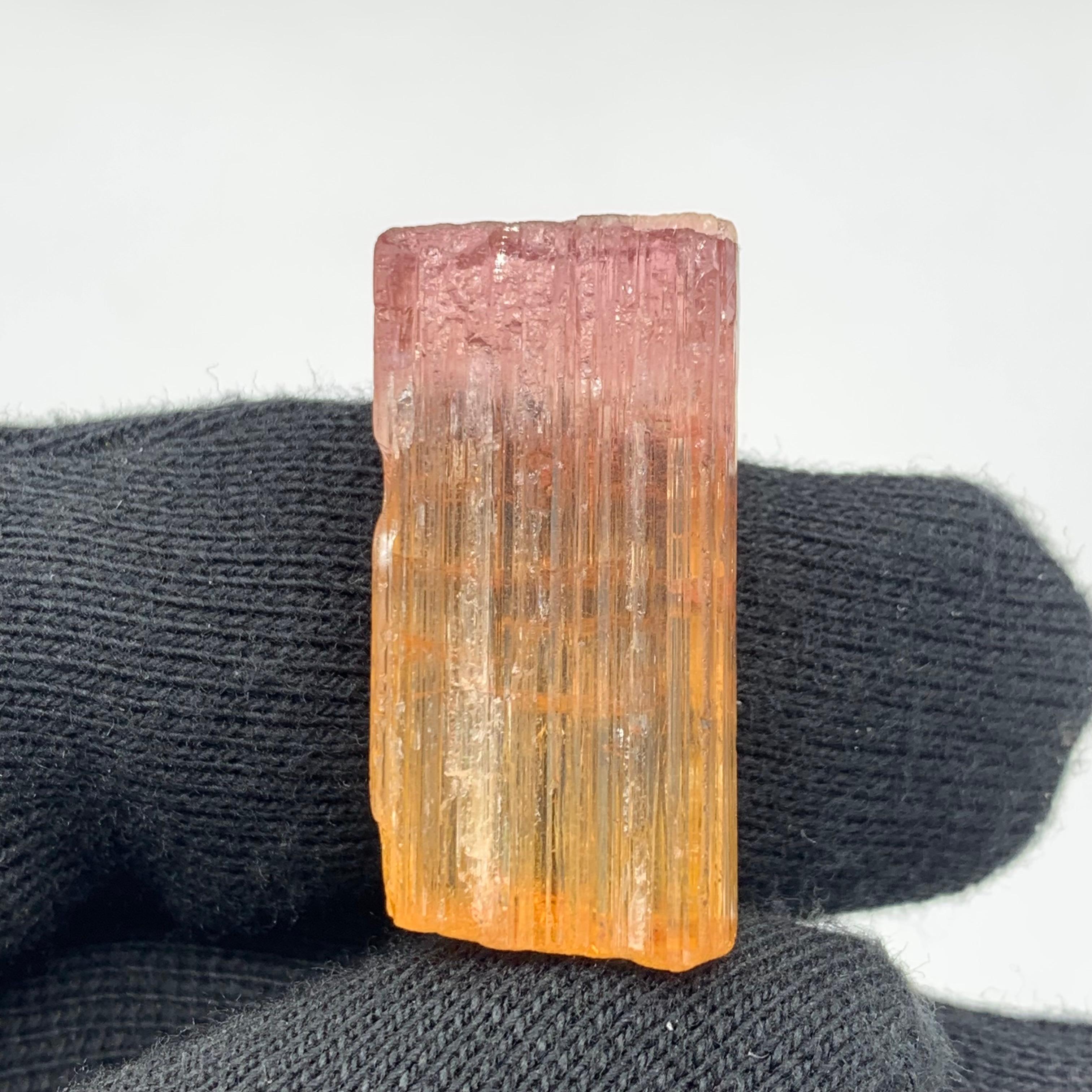 48 Carat Amazing Bi Color Tourmaline Crystal From Paprook Mine, Afghanistan For Sale 7