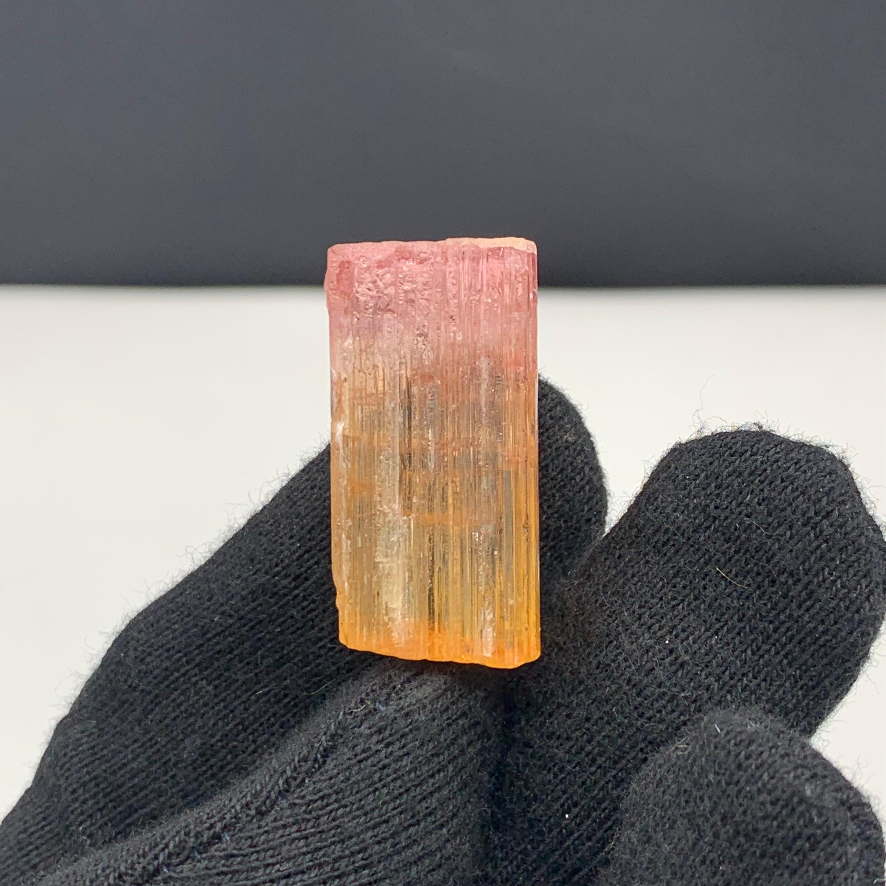 48 Carat Amazing Bi Color Tourmaline Crystal From Paprook Mine, Afghanistan

Weight: 48Carat 
Dimension: 3.2 x 1.6 x 0.7 Cm
Origin : Paprook Mine, Afghanistan 
Color: Pink and Orange 

Tourmaline is a crystalline silicate mineral group in which