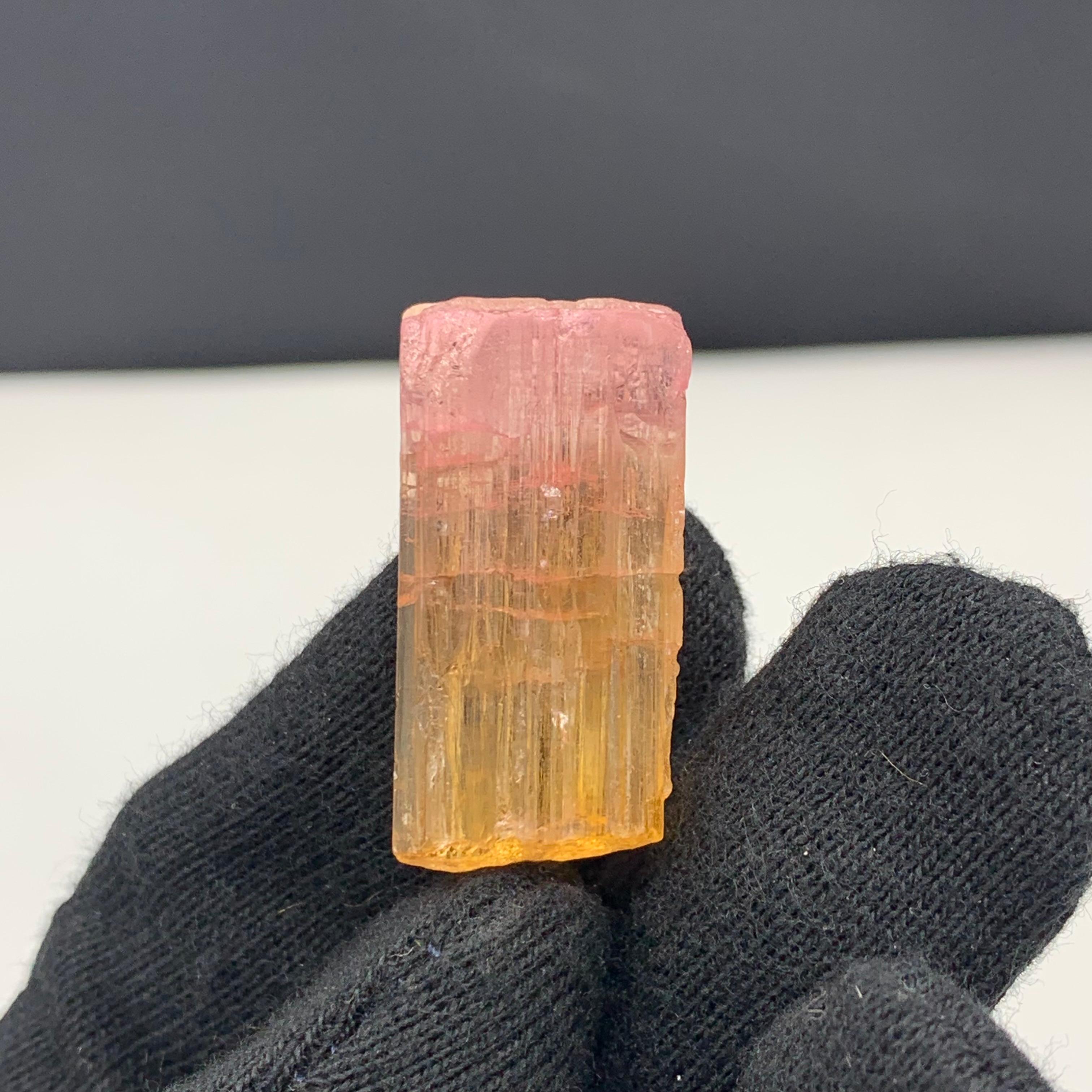 Other 48 Carat Amazing Bi Color Tourmaline Crystal From Paprook Mine, Afghanistan For Sale