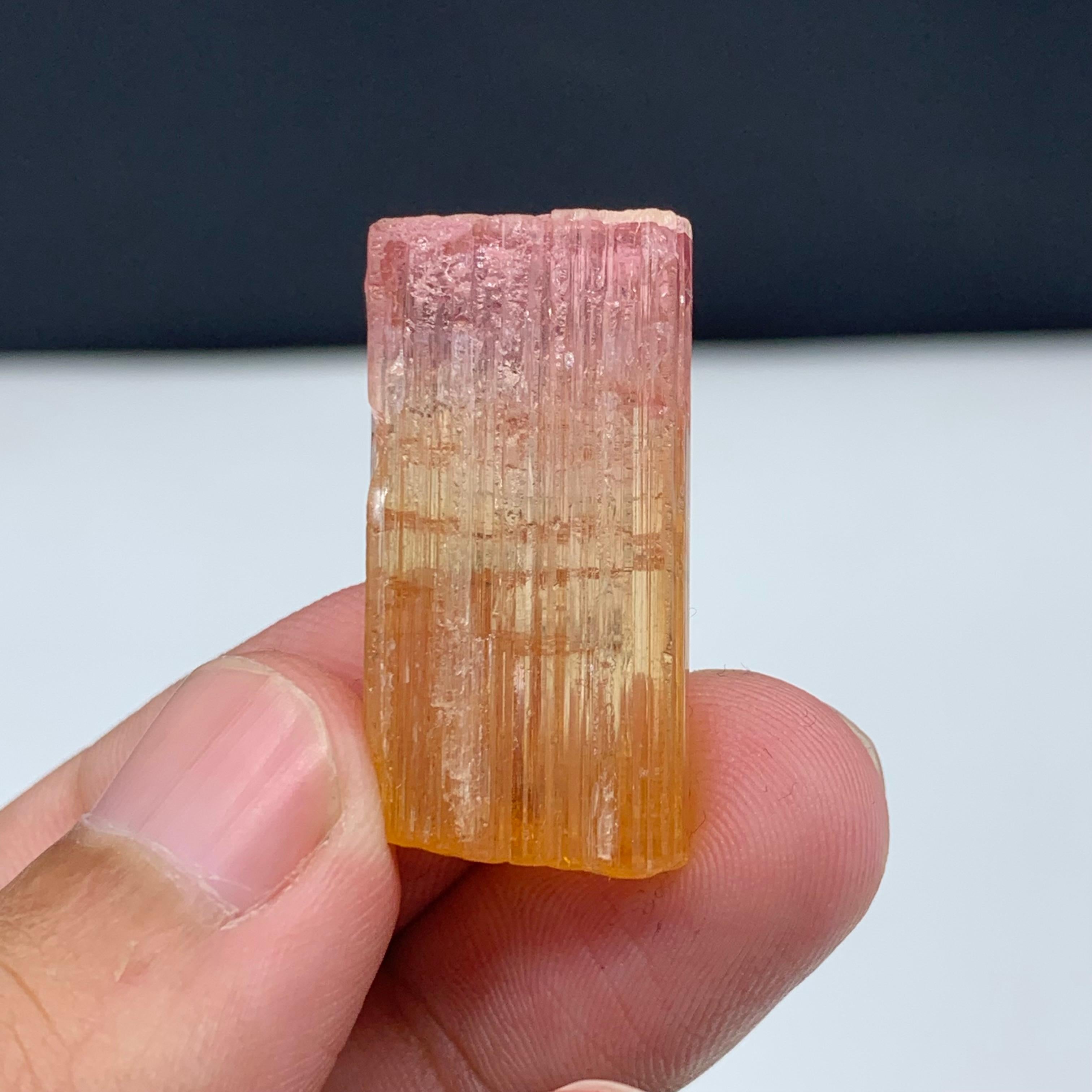 48 Carat Amazing Bi Color Tourmaline Crystal From Paprook Mine, Afghanistan In Good Condition For Sale In Peshawar, PK