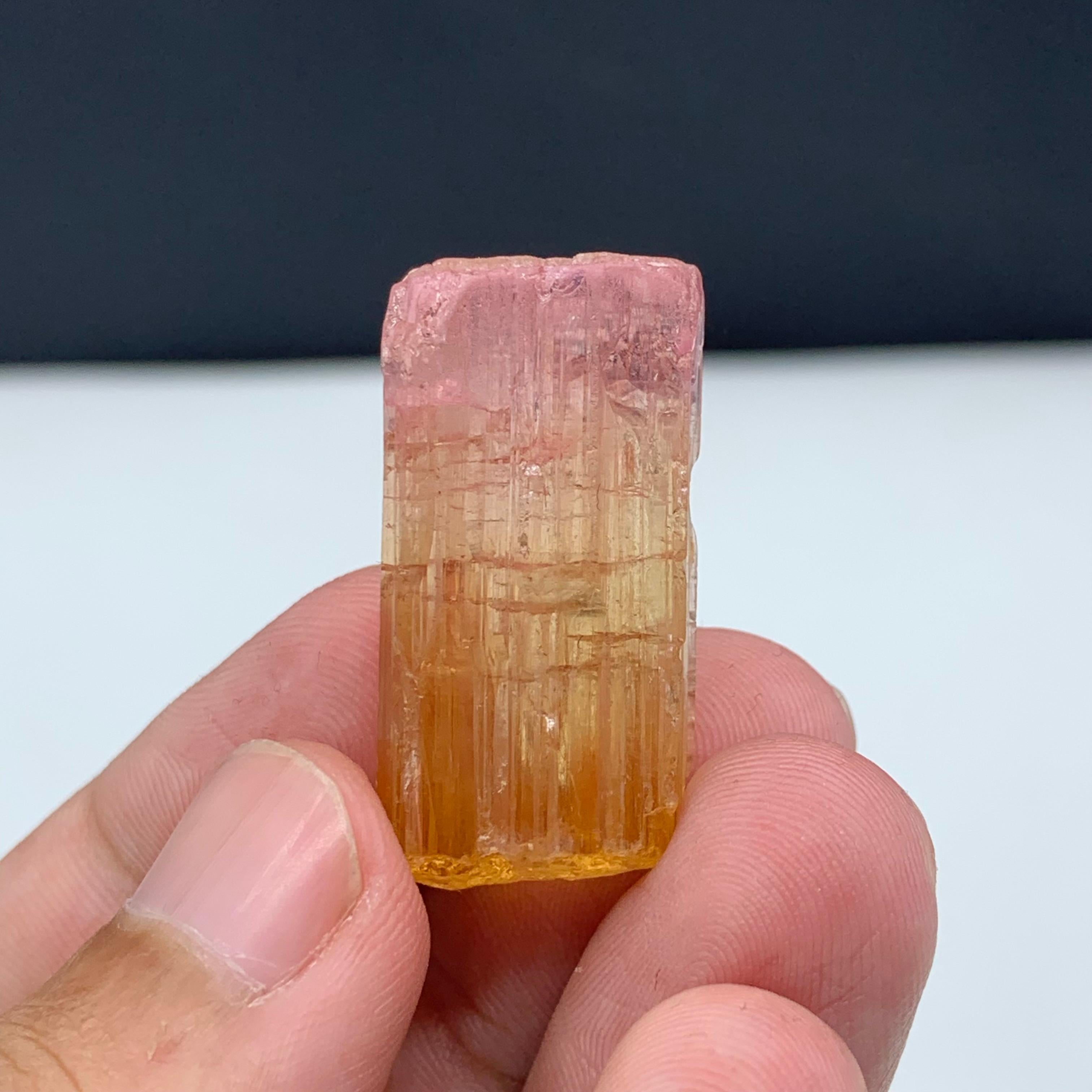 18th Century and Earlier 48 Carat Amazing Bi Color Tourmaline Crystal From Paprook Mine, Afghanistan For Sale