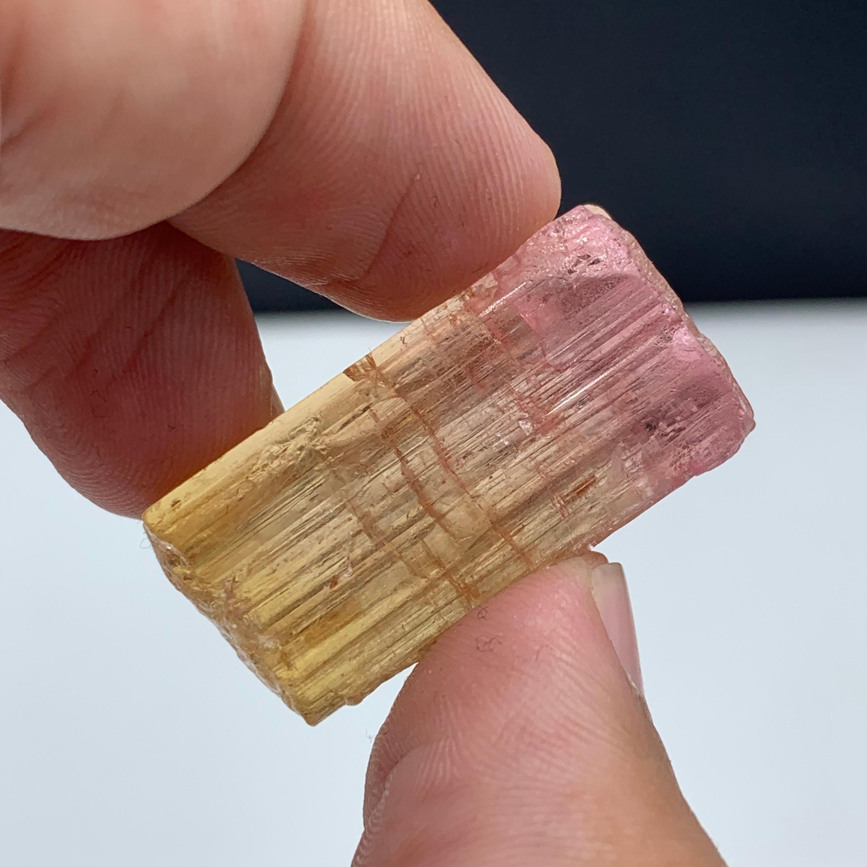 Rock Crystal 48 Carat Amazing Bi Color Tourmaline Crystal From Paprook Mine, Afghanistan For Sale