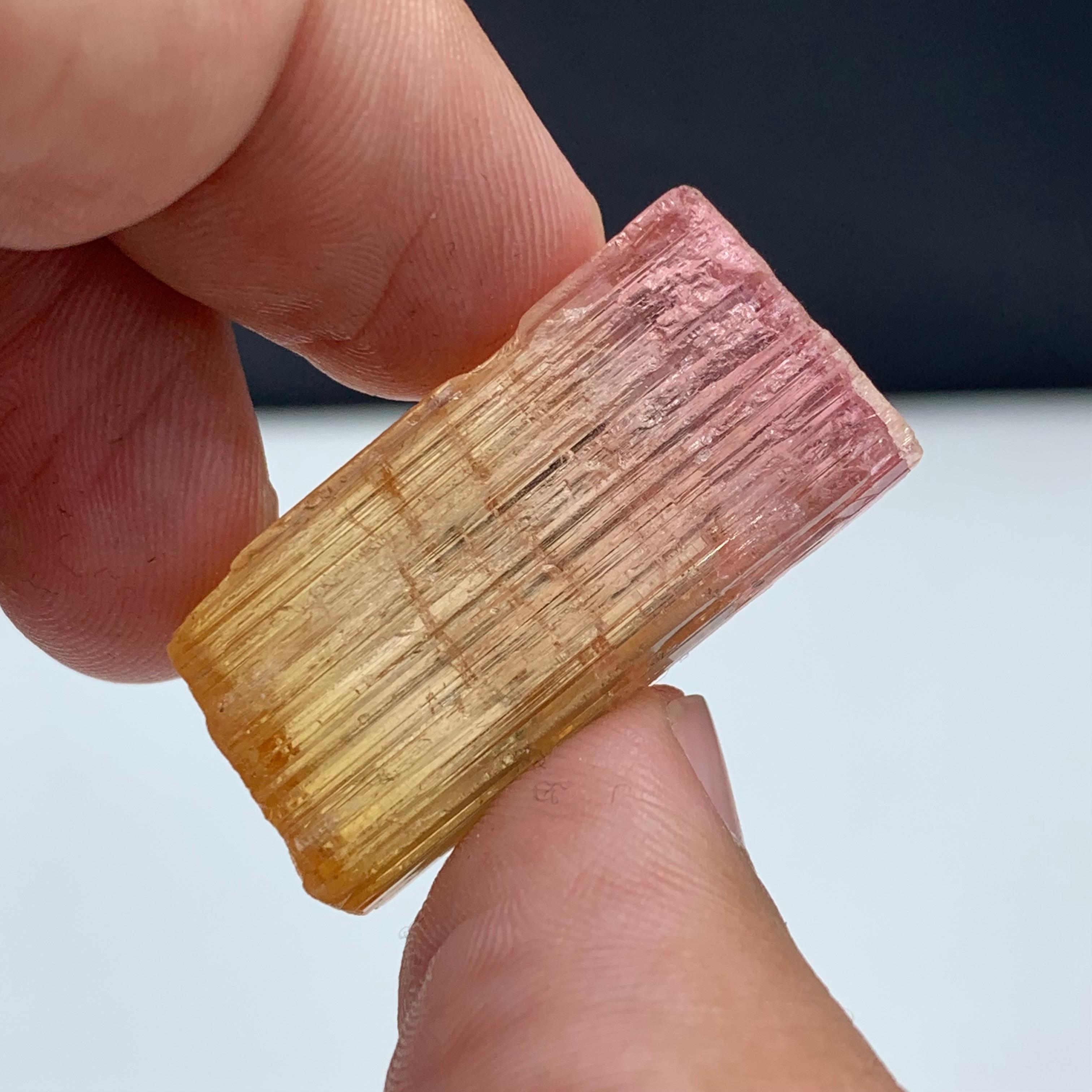 48 Carat Amazing Bi Color Tourmaline Crystal From Paprook Mine, Afghanistan For Sale 1