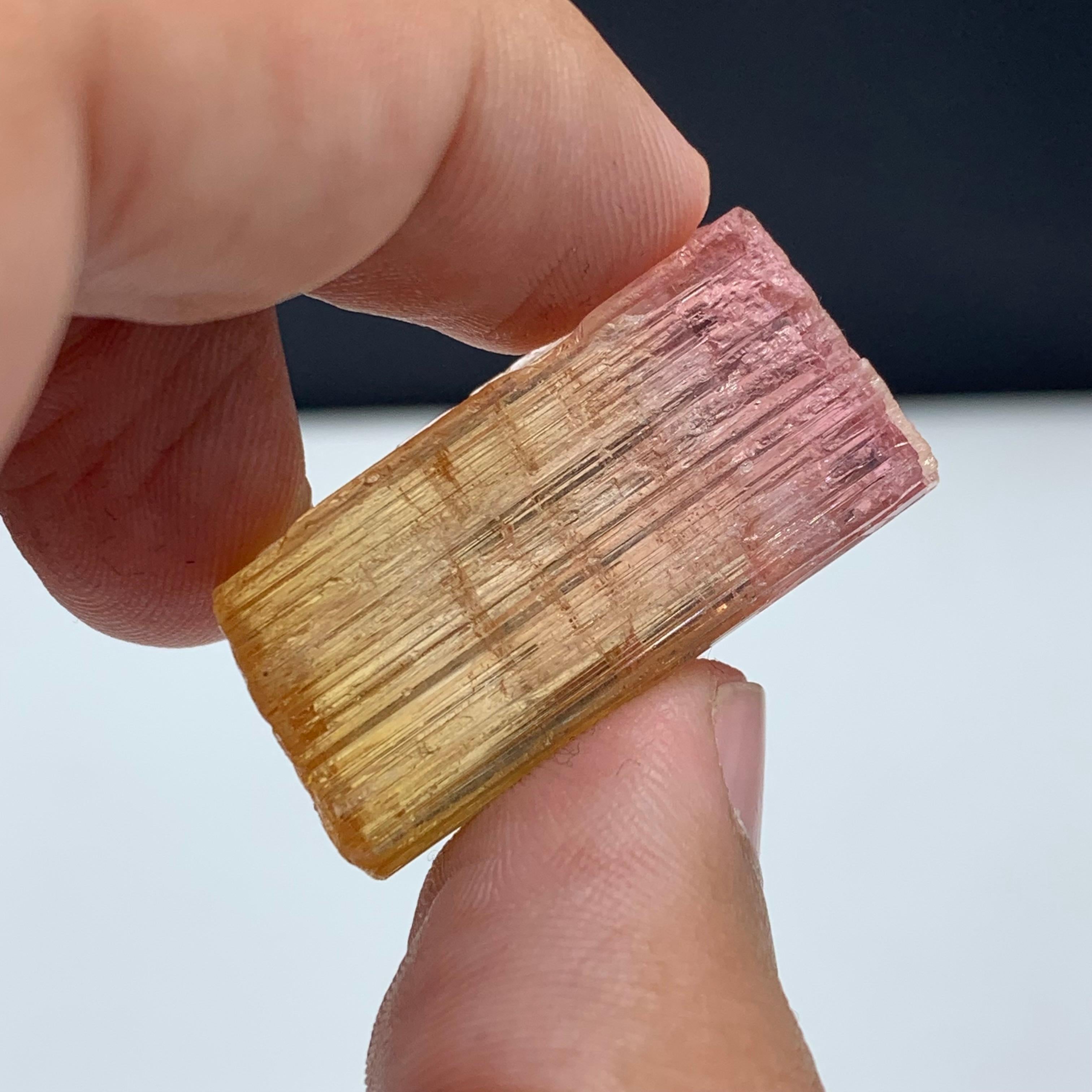 48 Carat Amazing Bi Color Tourmaline Crystal From Paprook Mine, Afghanistan For Sale 2