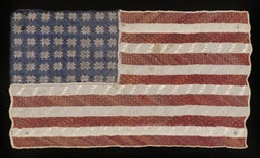 48 Stars That Resemble Snowflakes on Extraordinary Needlework Flag