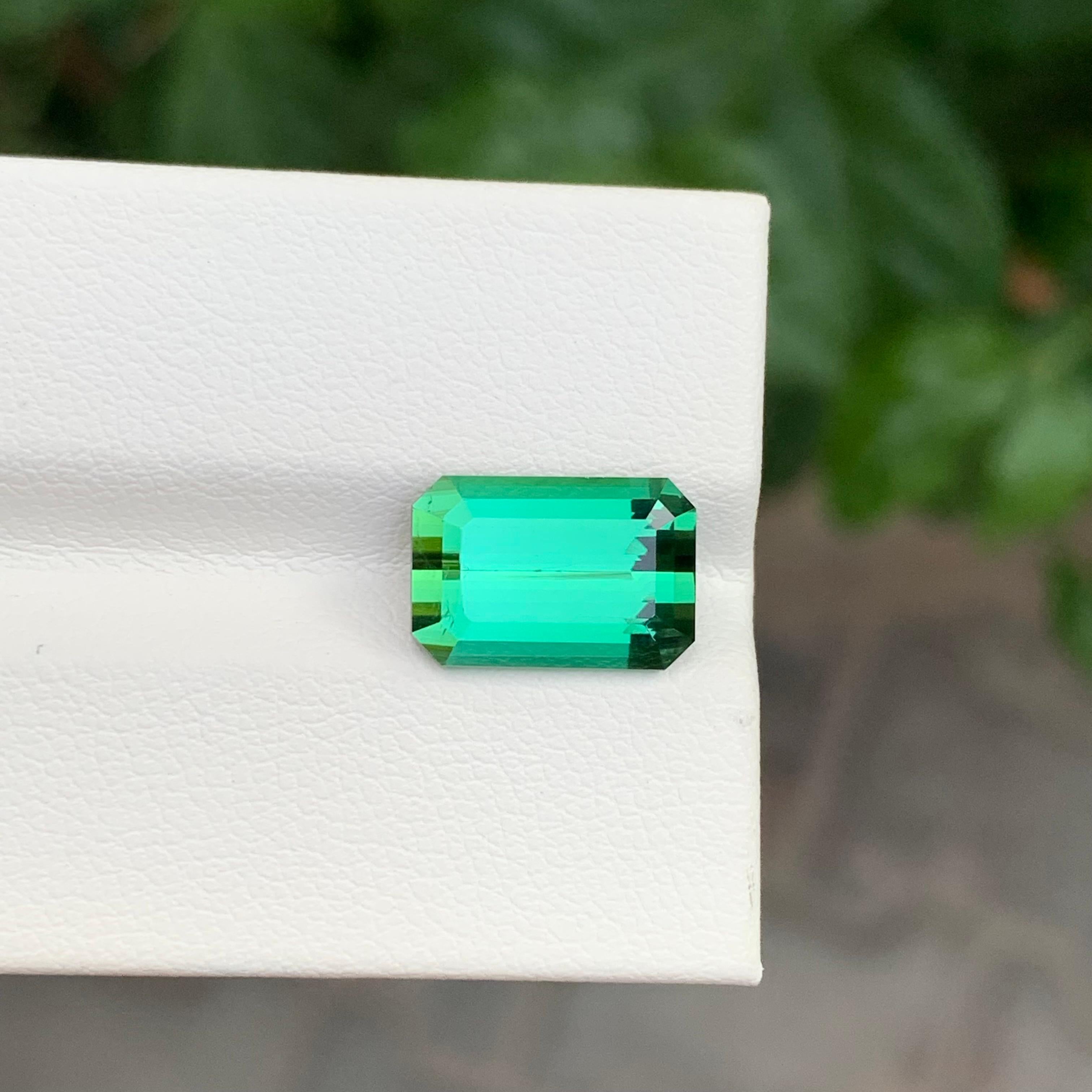 Tourmaline verte facettée

Poids : 4,80 carats
Dimension : 12 x 8,1 x 5,5 mm
Couleur : Vert
Traitement : Non
Certificat : Sur demande du client
Forme : Émeraude


La tourmaline est une pierre précieuse captivante connue pour sa remarquable variété