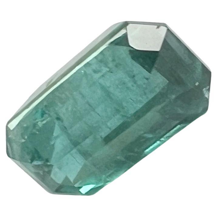 Artista 4,80ct Gemma EMERALDica Naturale NON OLIATA in vendita