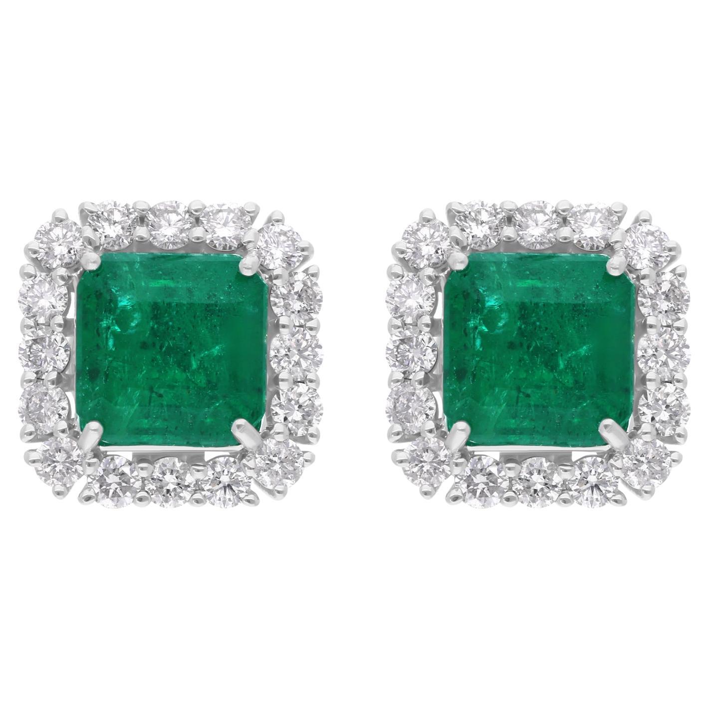 4,82 Tcw sambische Smaragd-Ohrringe SI Reinheit Diamant 14 Karat Weißgold
