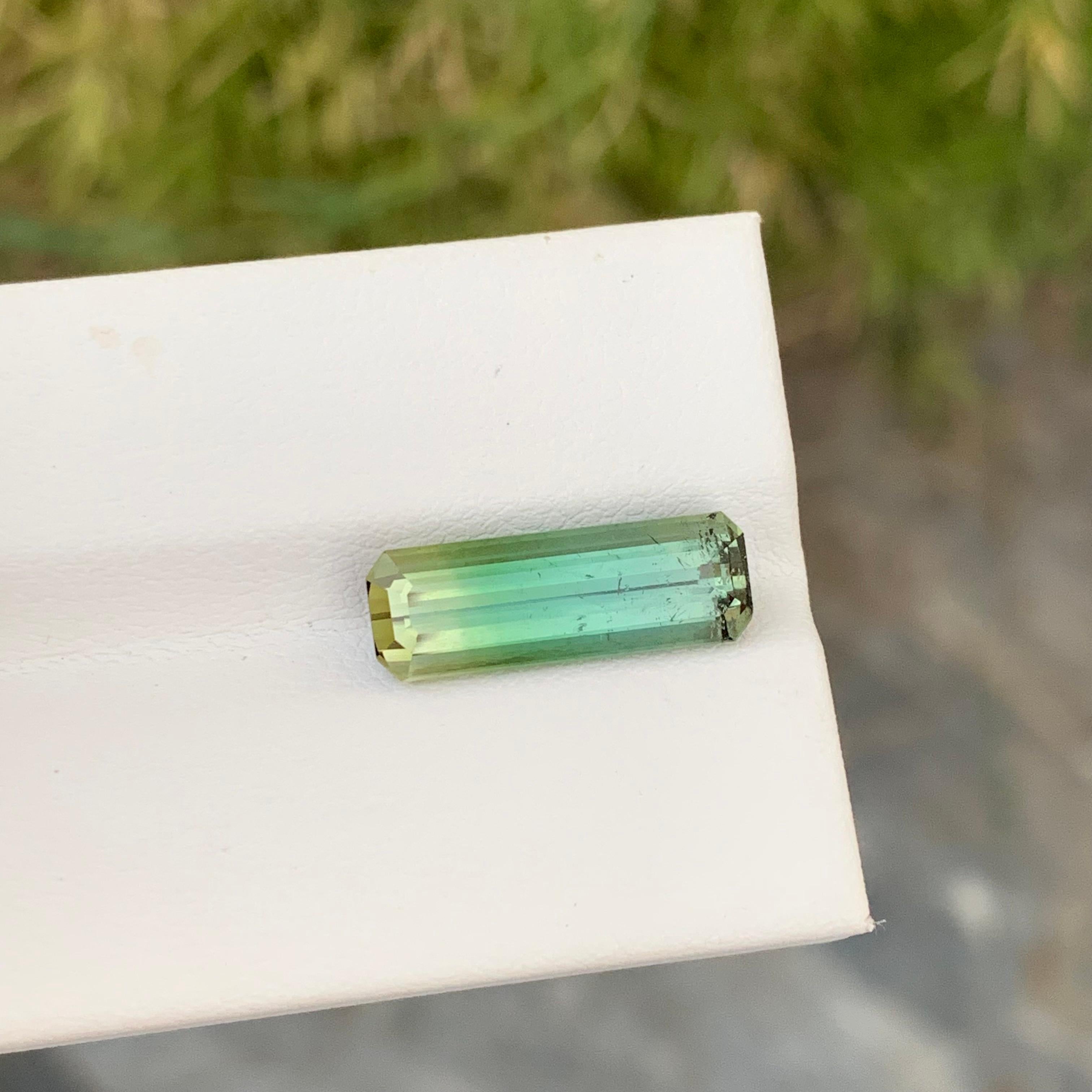 Loser zweifarbiger Turmalin

Gewicht: 4,85 Karat
Abmessung: 17.3 x 6 x 5.1 Mm
Farbe: Grün und Gelb
Herkunft: Afrika
Zertifikat: Auf Anfrage
Behandlung: Nicht

Der Turmalin ist ein faszinierender Edelstein, der für seine bemerkenswerte Farbvielfalt