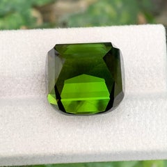 48.70 Carat Natural Loose Lustrous Green Tourmaline Cushion Cut Afghani Gemstone
