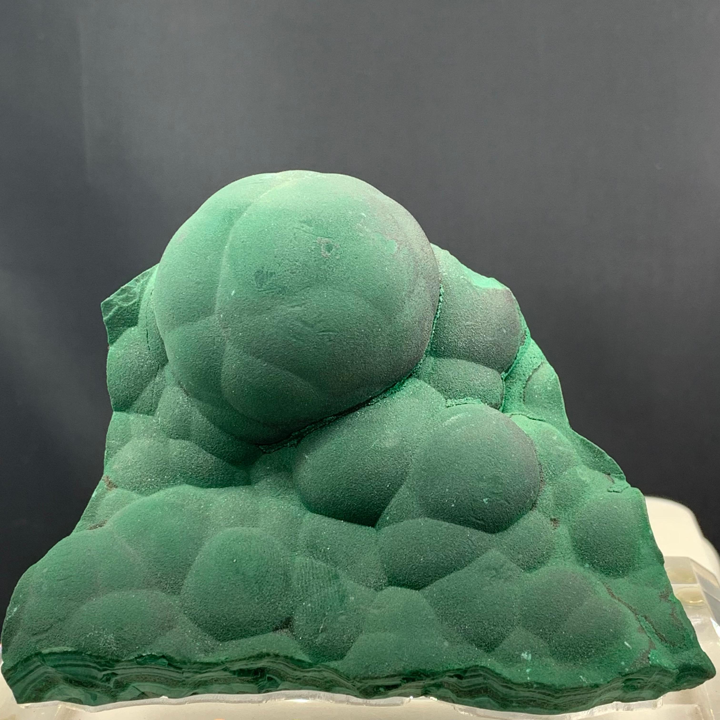 488,78 grammi di splendida malachite verde foresta da Yangjiang Guangdong, Cina in vendita 2
