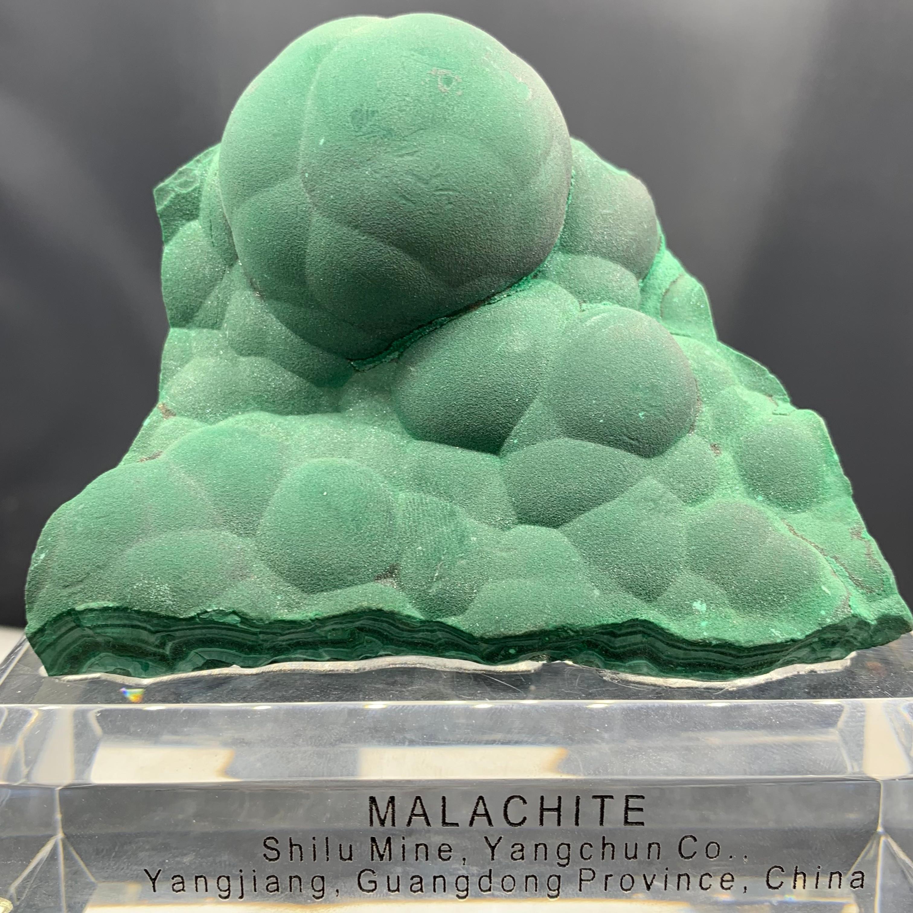 Fino al XVIII secolo 488,78 grammi di splendida malachite verde foresta da Yangjiang Guangdong, Cina in vendita