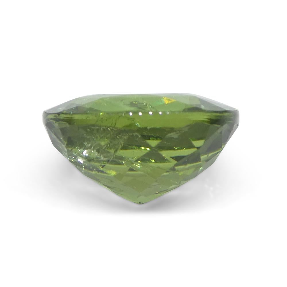 4.89ct Cushion Green Tourmaline from Brazil For Sale 4
