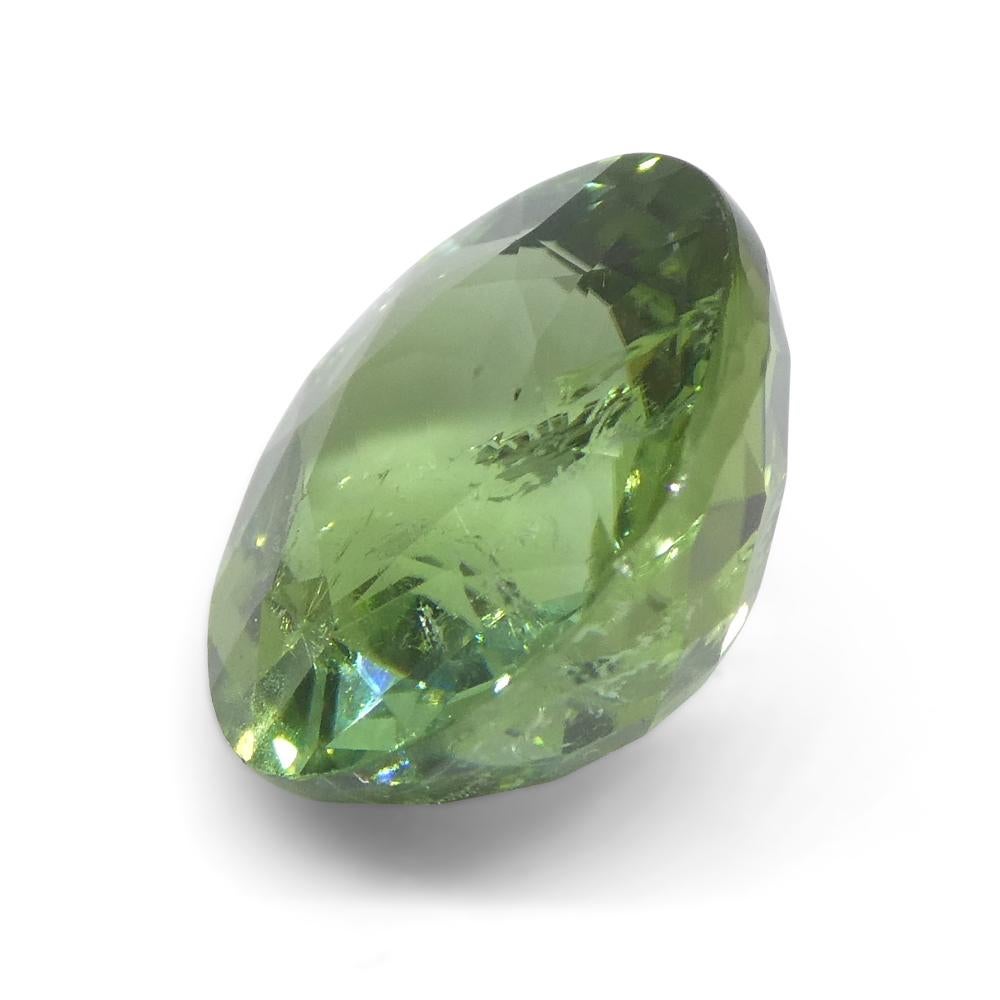 4.89ct Cushion Green Tourmaline from Brazil For Sale 5