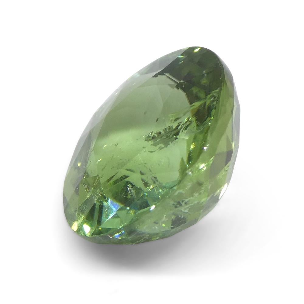 4.89ct Cushion Green Tourmaline en vente 6