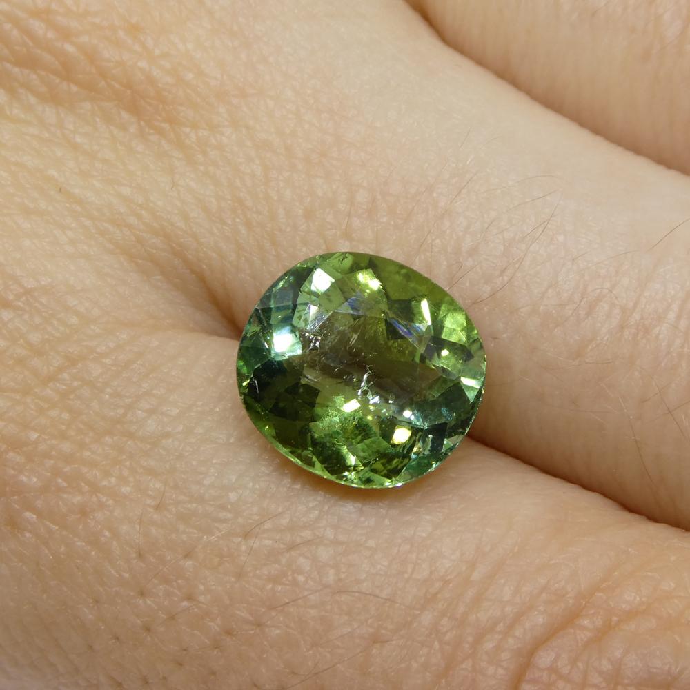 4.89ct Cushion Green Tourmaline from Brazil For Sale 2