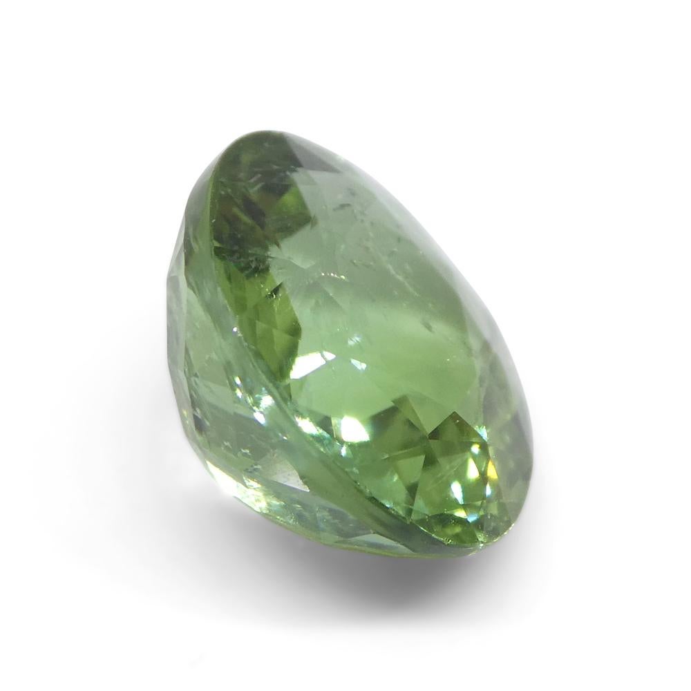 4.89ct Cushion Green Tourmaline from Brazil For Sale 3