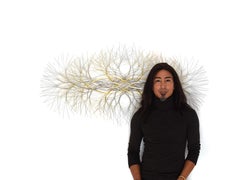 48"X24" Metal Wall Sculpture in Stainless and Brass #667. Available Now