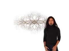 48"x26" Metal Wall Sculpture in Stainless and Bronze #668. Available Now