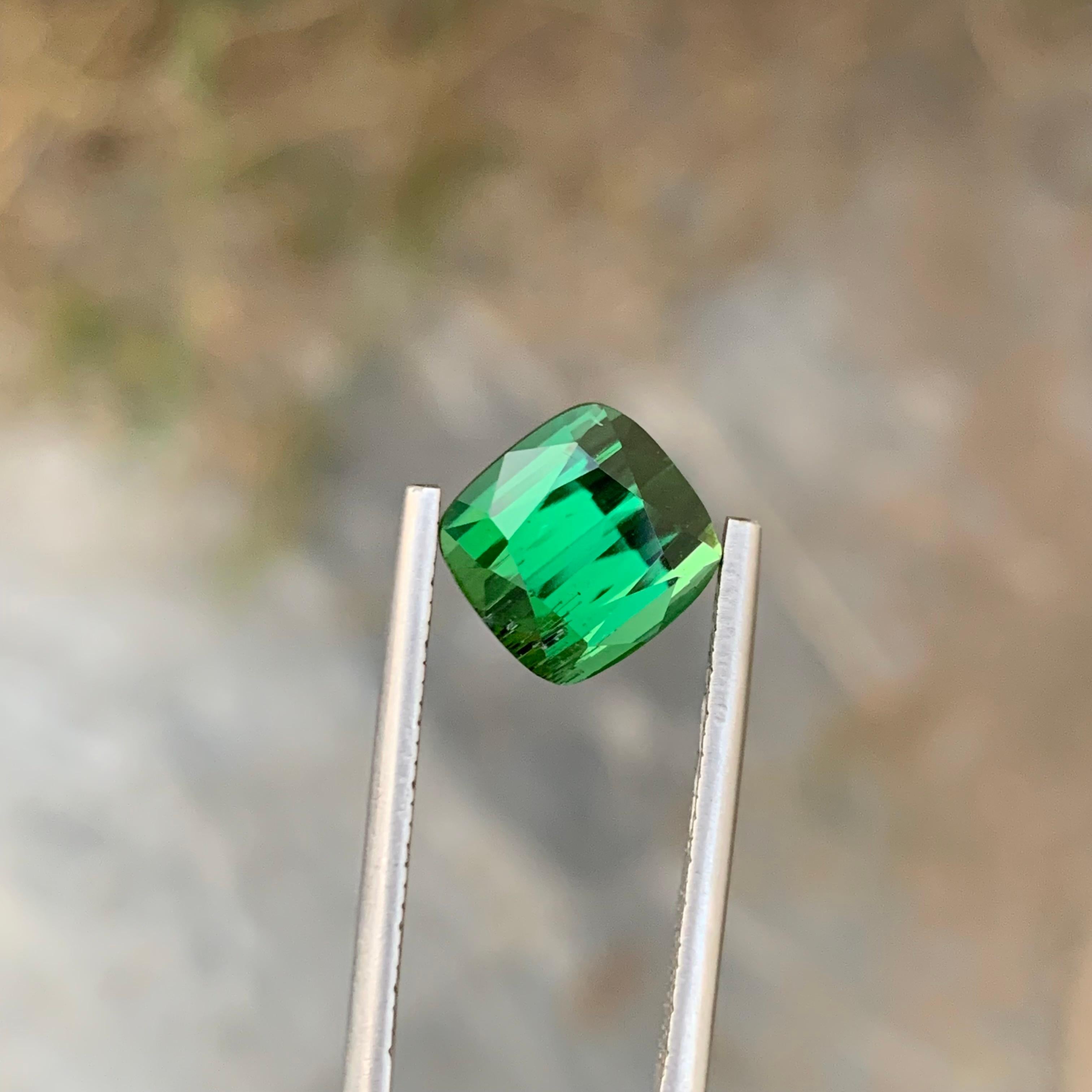 Lose Grüner Turmalin

Gewicht: 4,95 Karat
Abmessung: 9 x 8,7 x 7,4 mm
Farbe: Grün
Herkunft: Afghanistan
Zertifikat: Auf Anfrage
Behandlung: Nicht


Der Turmalin ist ein faszinierender Edelstein, der für seine bemerkenswerte Farbvielfalt bekannt ist,