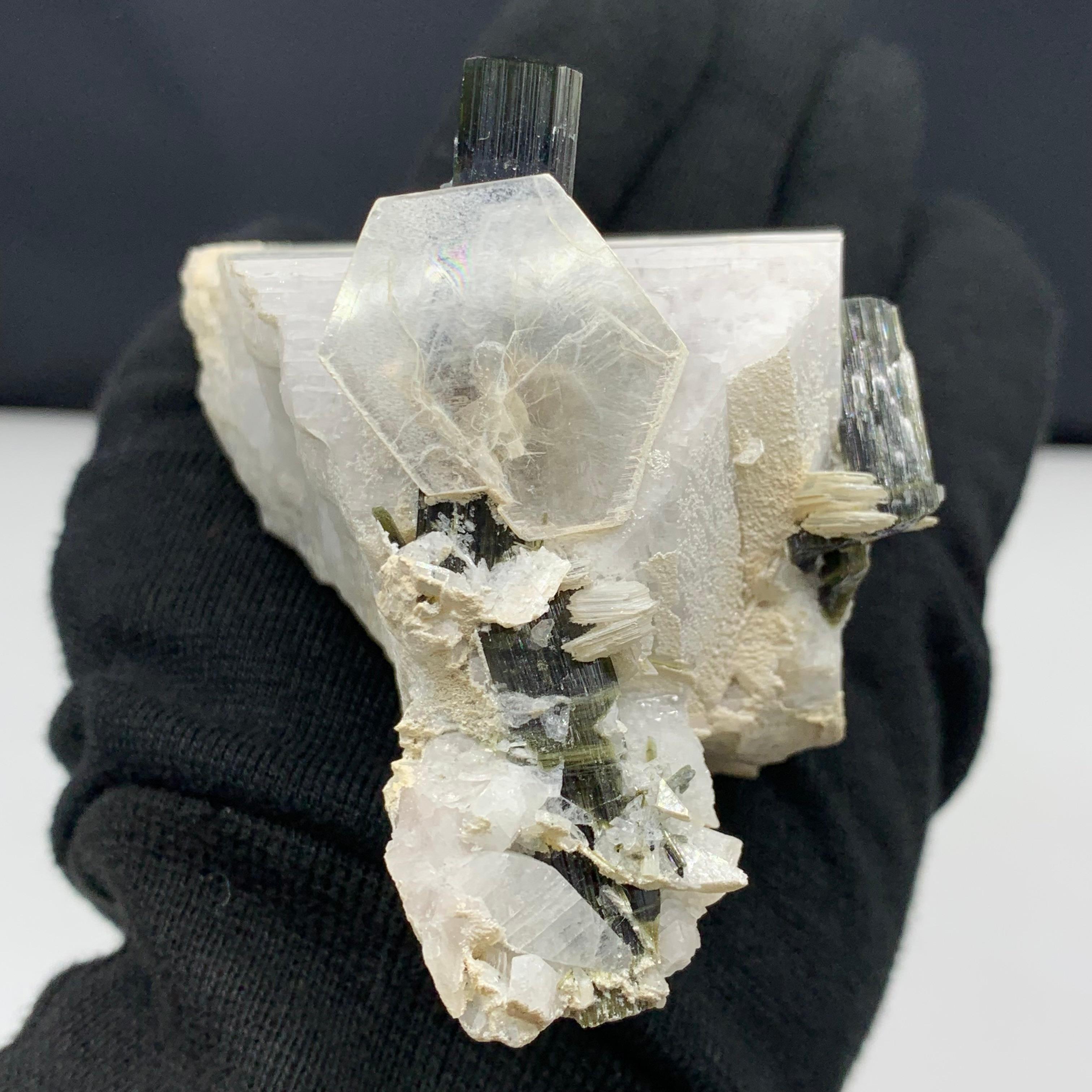 Adam Style 497.97 Gram Tourmaline Attach With Albite and Feldspar Specimen From Pakistan For Sale