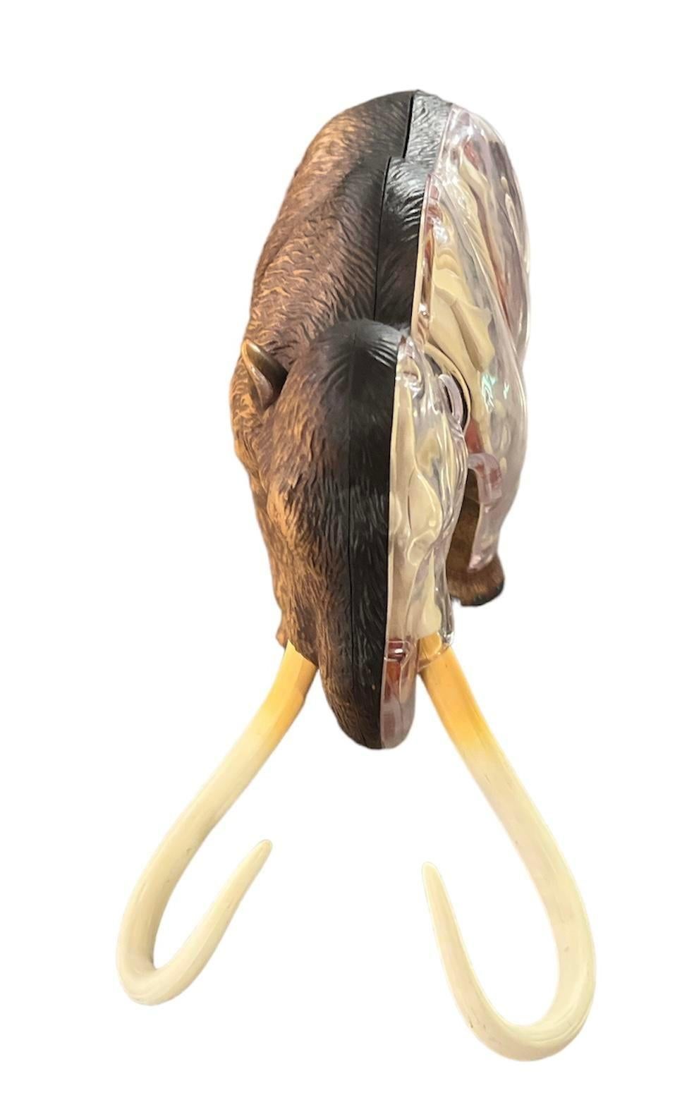 American 4d Woolly Mammoth Anatomy Model