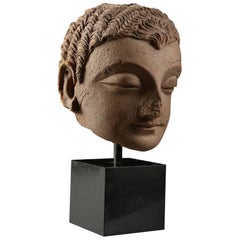 4th-5th Century Indian Gandhara Stucco Head on Black Metal Plinth