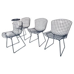 4x Sedie BERTOIA, Modello 420, Harry Bertoia per Knoll, , Classic Modern Design