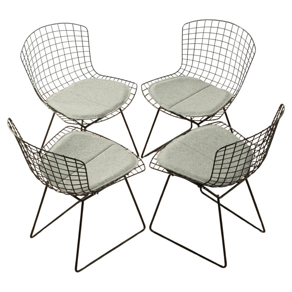 4x Sedie BERTOIA, modello 420, Harry Bertoia per Knoll in vendita