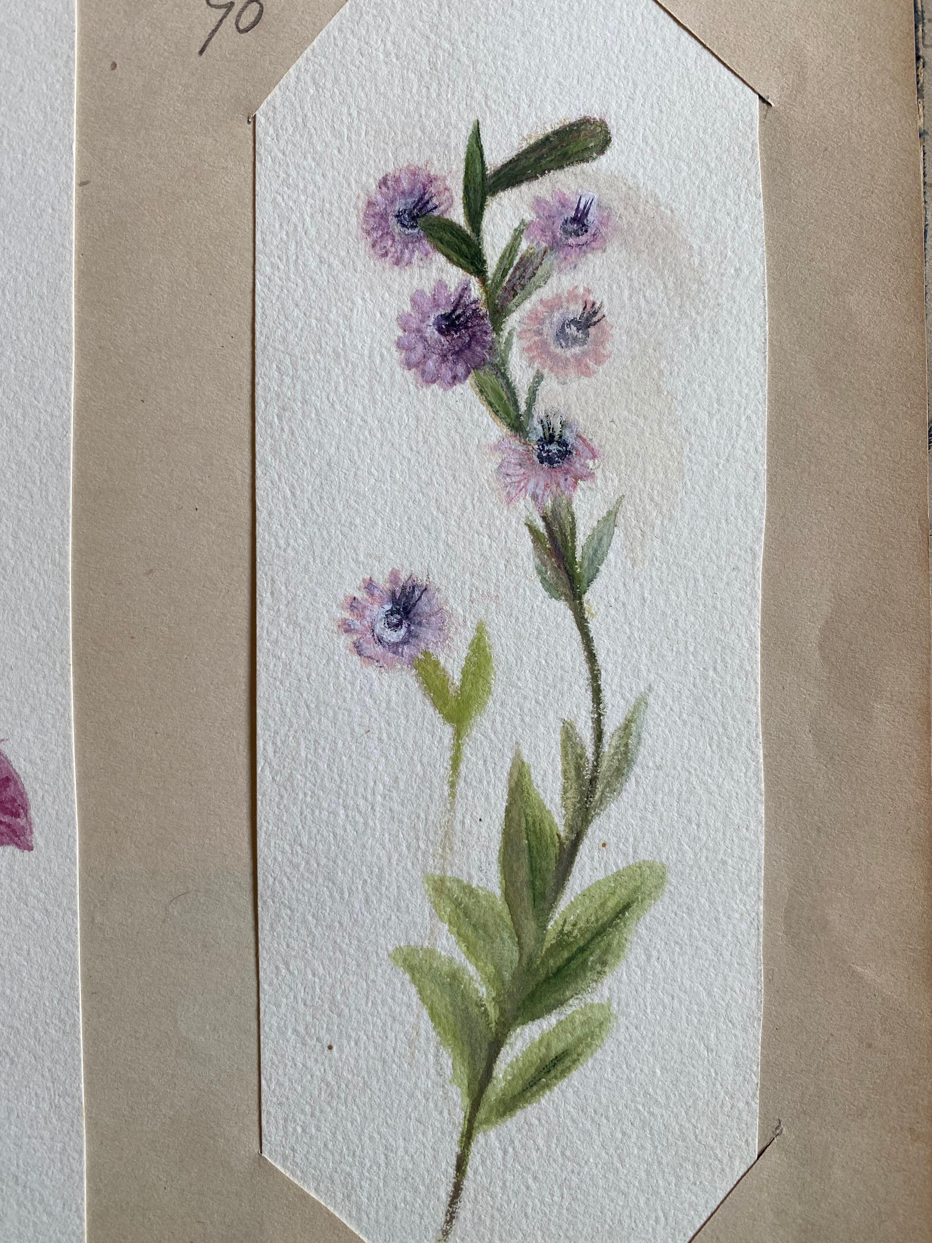 4x feines antikes britisches Botanisches Aquarellgemälde, um 1900 (Sonstiges) im Angebot