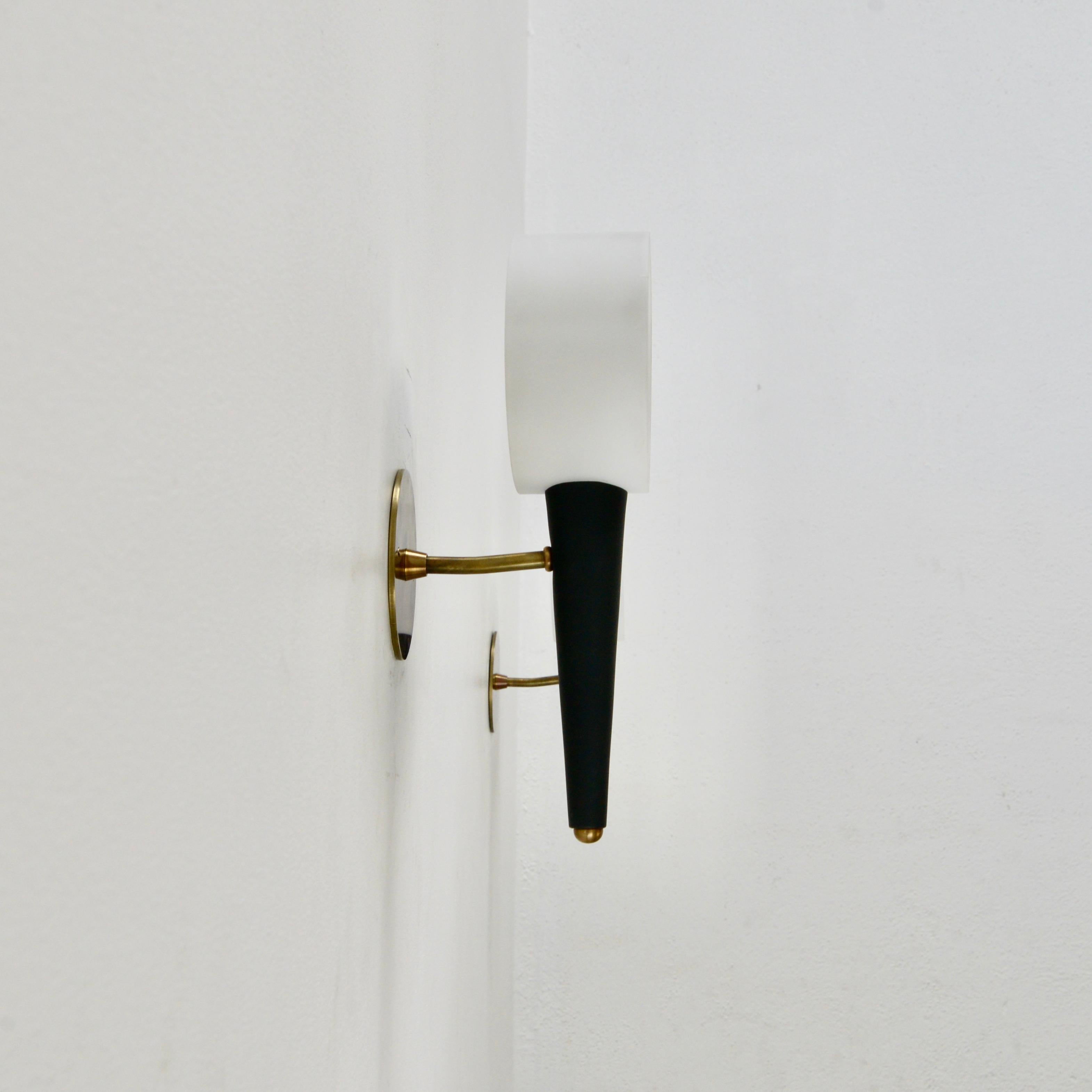 Mid-20th Century 1950s Lupa Sconce