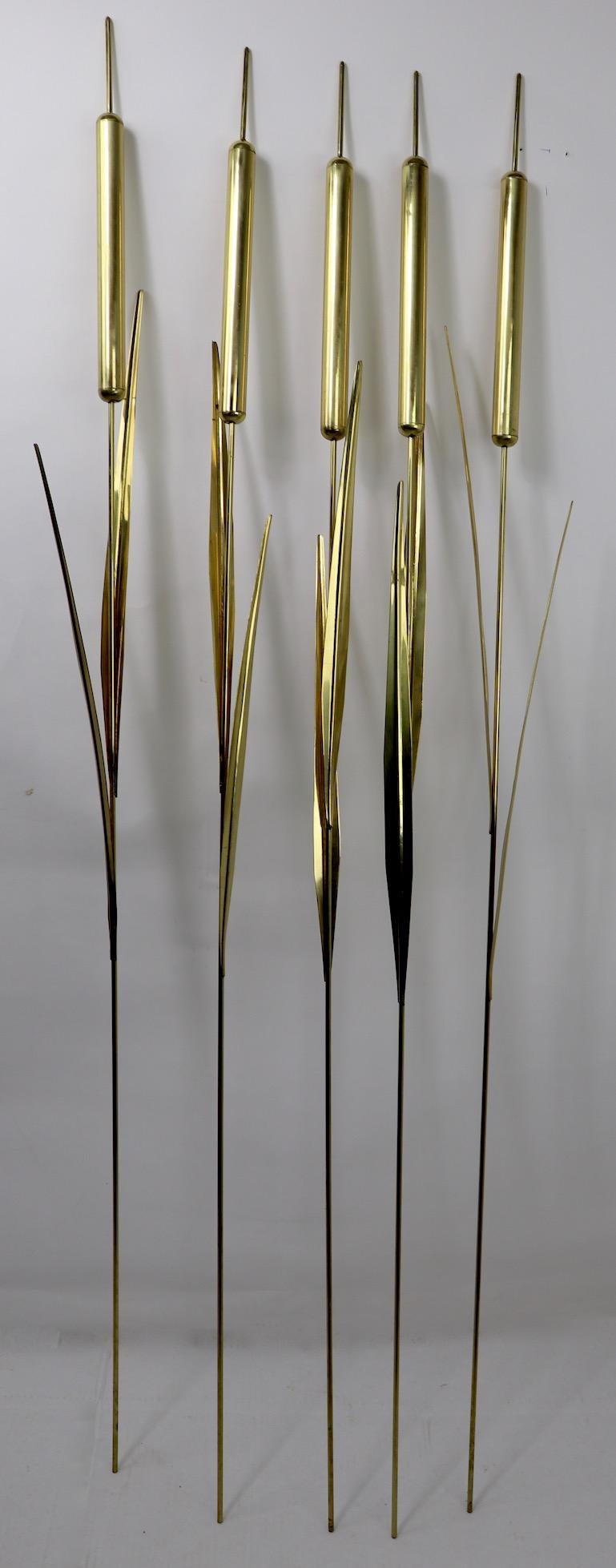 5 large brass cattails attributed to Curtis Jere. Brass cattail element 1 inch diameter offered and priced individually, but we would love to see hem stay together.