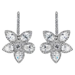 5 Karat Combine Mix Shape Diamant-Ohrringe zertifiziert