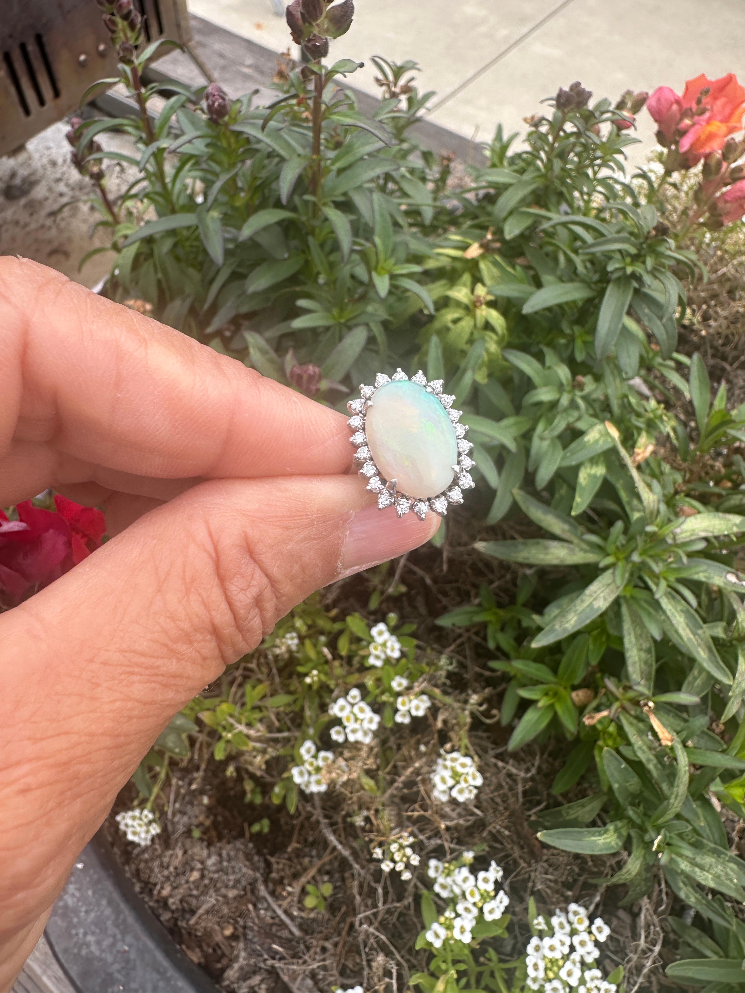 5 Carat Solitaite Fire opal and Diamond Halo Ring 14Kt Unisexe en vente