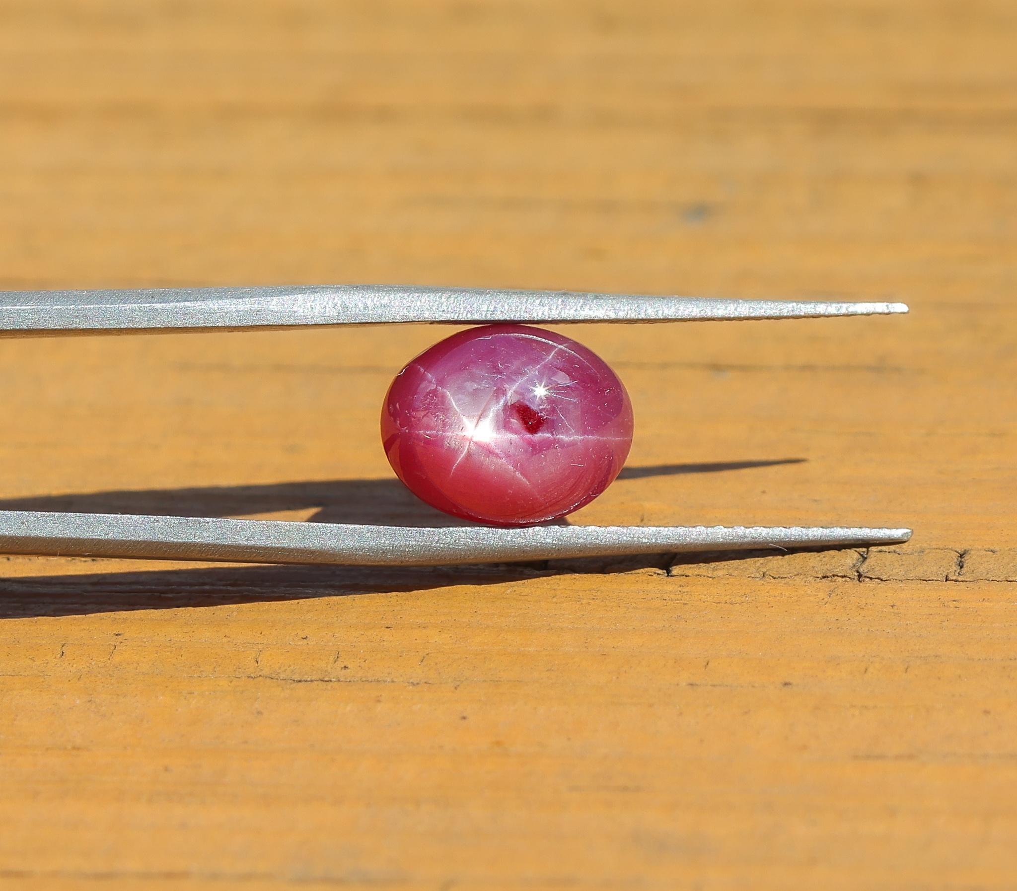 Oval Cut 5 Carat Star Ruby Loose Gemstone Oval 10.4 x 8.4 mm